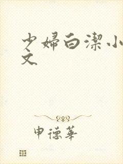 少妇白洁小说全文