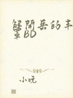 解开岳的丰满奶罩BD