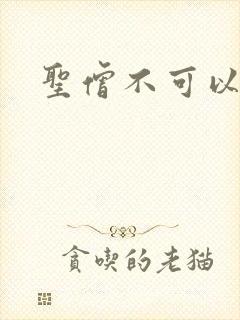 圣僧不可以封面