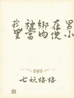 我被绑在男公厕里当肉便小说