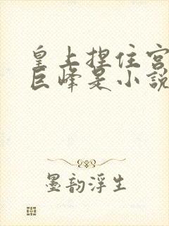 皇上捏住宫女的巨峰是小说封面