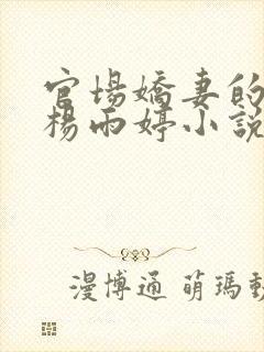 官场娇妻的报复杨雨婷小说免费阅读
