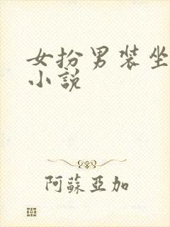 女扮男装坐江山小说