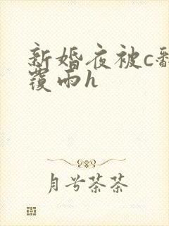 新婚夜被c翻云覆雨h封面