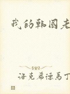 我的韩国老婆封面