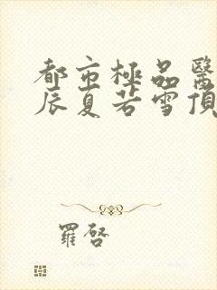 都市极品医神叶辰夏若雪顶点小说网