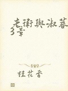 老卫与淑蓉第13章封面