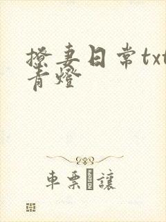 撩妻日常txt青灯封面