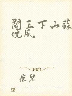 阎王下山苏文陆晚风封面