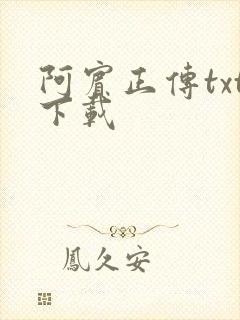 阿宾正传txt下载