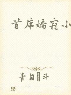 首席娇宠小情人