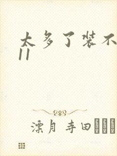 太多了装不下H11