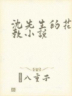 沈先生的花式调教小说