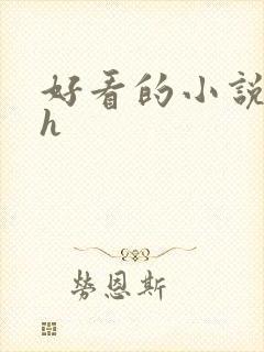 好看的小说言情h