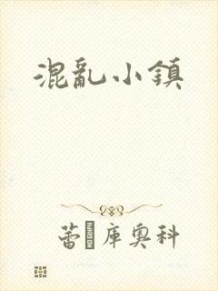 混乱小镇封面