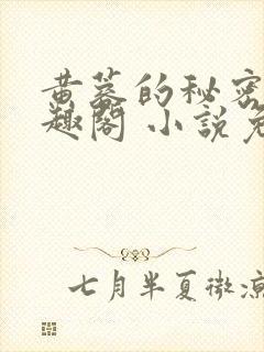 黄蓉的秘密 笔趣阁 小说免费阅读