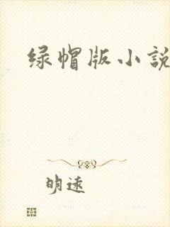 绿帽版小说