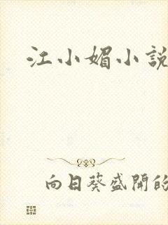江小媚小说
