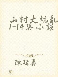 山村大炕乱肉续1-14集小说