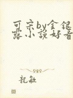 可宋by金银花露小说好看吗
