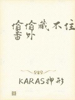 偷偷藏不住新婚番外封面