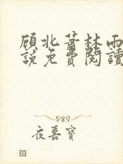 顾北萧林雨菲小说免费阅读最新章节