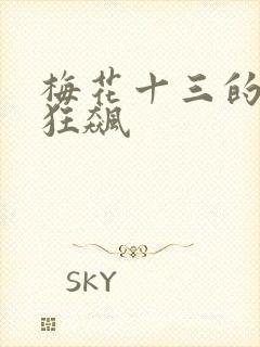 梅花十三的乳液狂飙