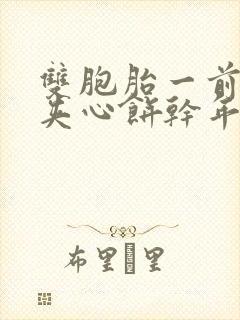 双胞胎一前一后夹心饼干年下