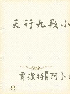 天行九歌小说