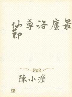 仙尊洛尘最新章节封面