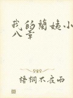 我的兰姨小说第八章封面