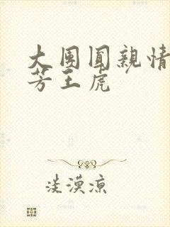 大团圆亲情会王芳王虎封面