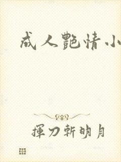 成人艳情小说封面