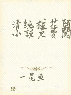 清纯校花堕落记小说免费阅读