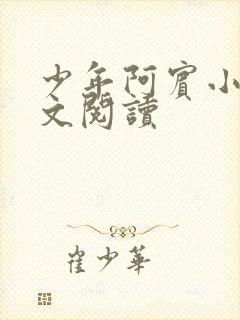 少年阿宾小说全文阅读