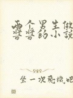 两个男生做酿酿酱酱的小说封面