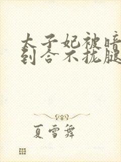 太子妃被暗卫C到合不拢腿