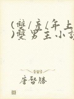 (双/产/年上)双男主小说