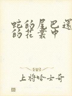 蛇的尾巴还在我的花丛中