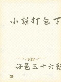 小说打包下载封面