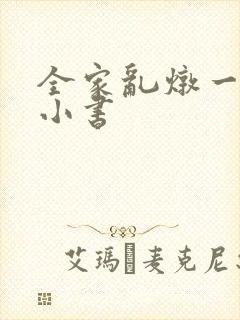 全家乱炖一锅烩小书