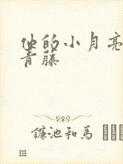 他的小月亮by青藤