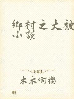 乡村之大被同眠小说