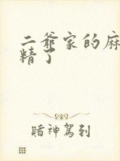 二爷家的麻雀成精了封面
