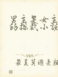 男主是女主小叔的总裁小说封面