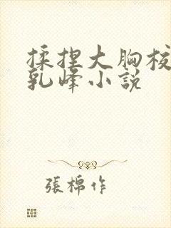 揉捏大胸校花的乳峰小说