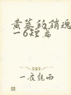 黄蓉的销魂夜1一6短篇