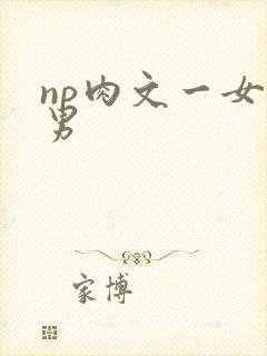 np肉文一女多男