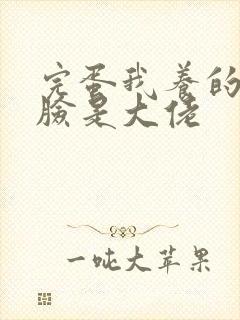 完蛋我养的小白脸是大佬