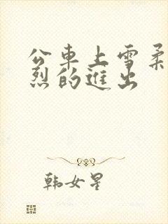 公车上雪柔被猛烈的进出